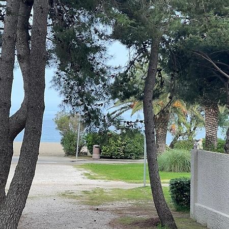 Grand F3 Vue Mer Centre Plage Proche Commerces Plage dʼArgelès Екстериор снимка
