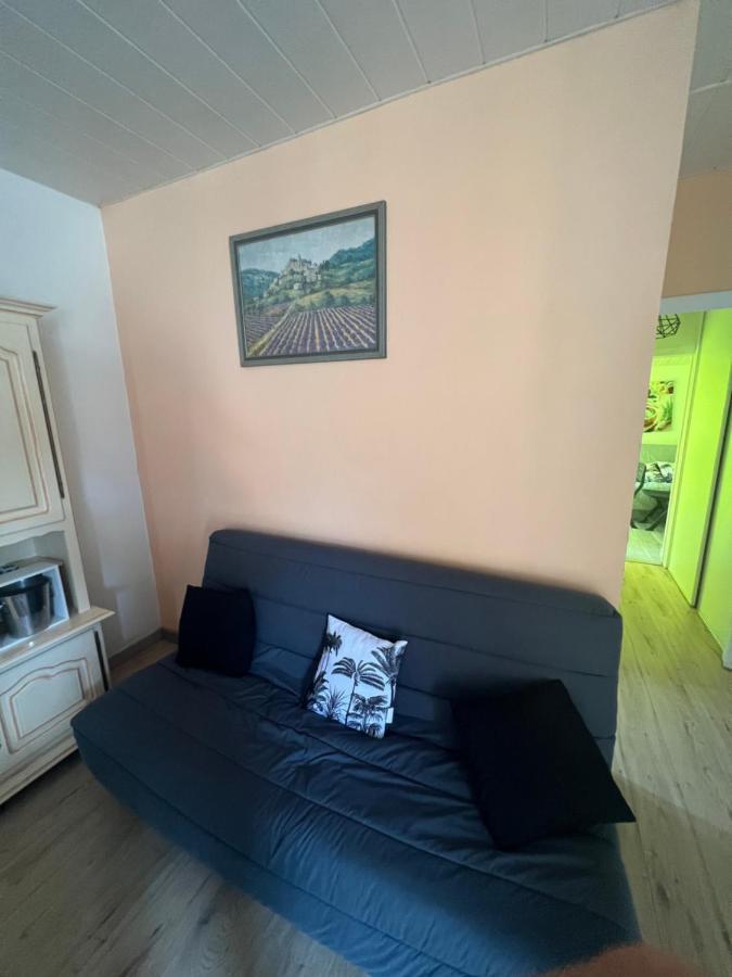 Grand F3 Vue Mer Centre Plage Proche Commerces Plage dʼArgelès Екстериор снимка