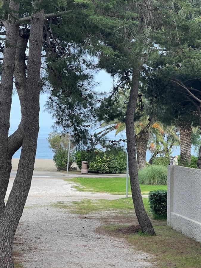 Grand F3 Vue Mer Centre Plage Proche Commerces Plage dʼArgelès Екстериор снимка