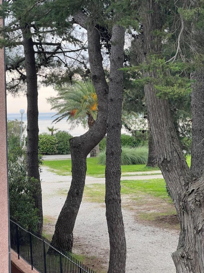 Grand F3 Vue Mer Centre Plage Proche Commerces Plage dʼArgelès Екстериор снимка